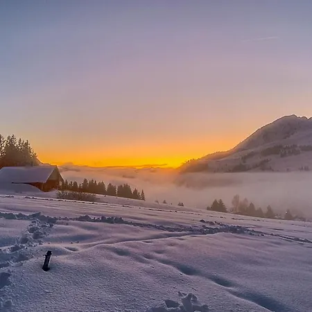 Chalet Domaine Exceptionnel Avec 5 *