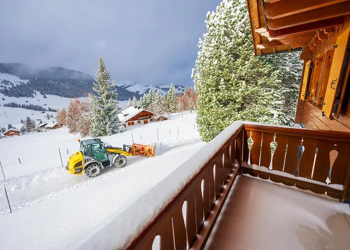 Domaine Exceptionnel Avec 5 Chalet *