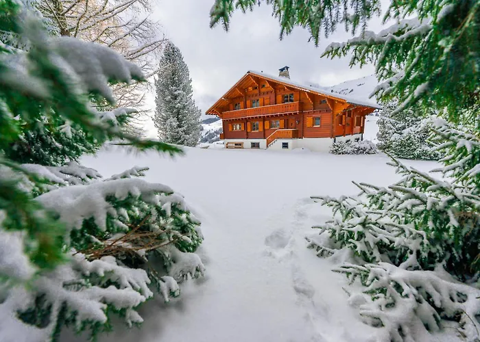 Domaine Exceptionnel Avec 5 Chalet