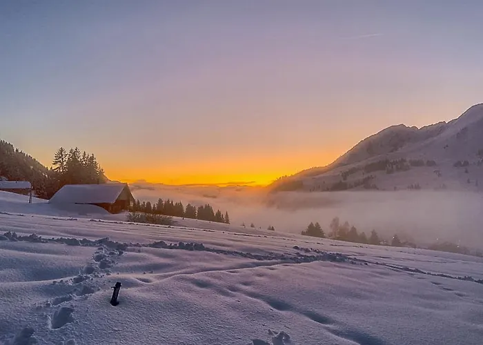 Chalet Domaine Exceptionnel Avec 5 *