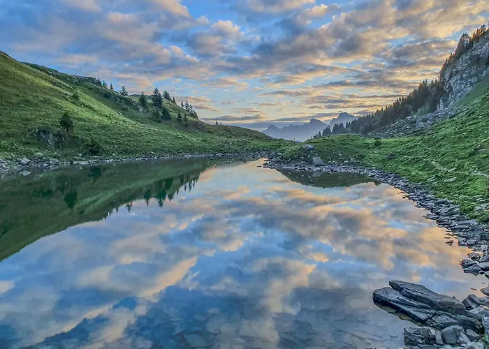 Domaine Exceptionnel Avec 5 *