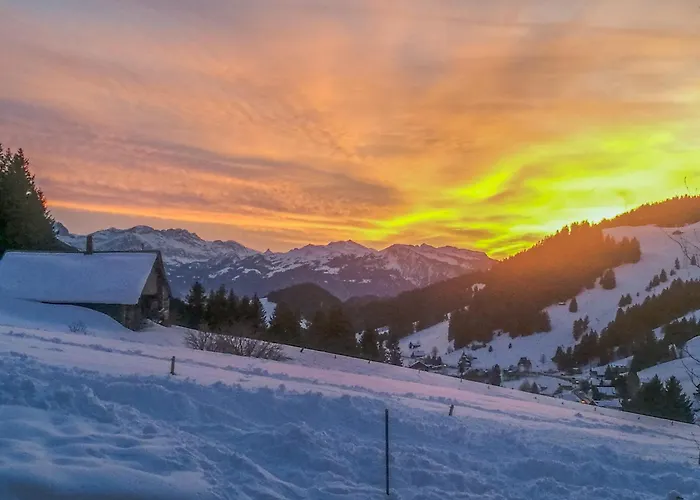 Domaine Exceptionnel Avec 5 Chalet Les Mosses