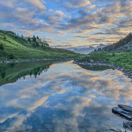 Domaine Exceptionnel Avec 5 *