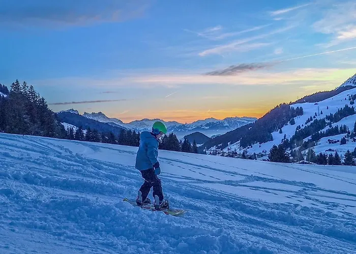 Domek alpejski Domaine Exceptionnel Avec 5 *